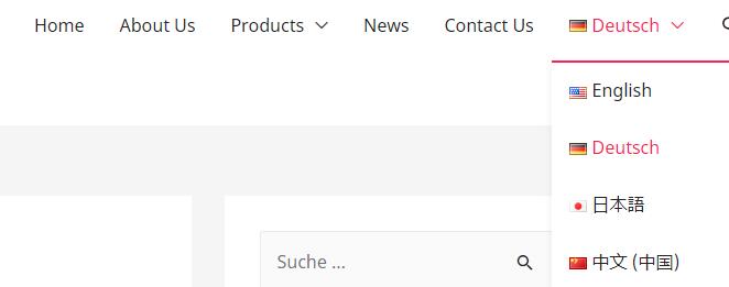 WordPres外贸网站多语言插件 Polylang 第12张